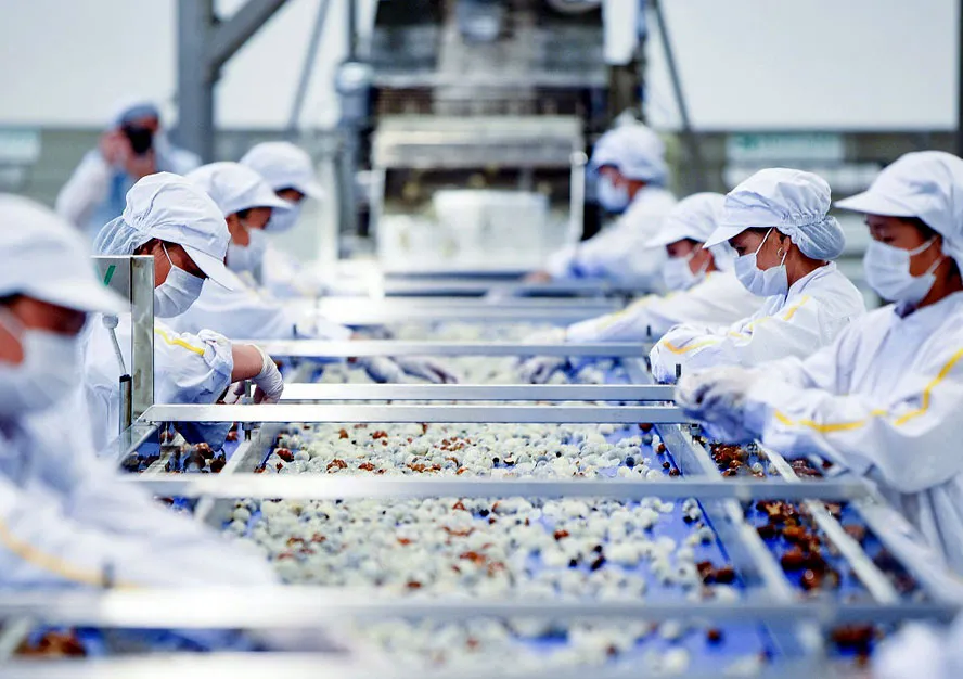 Các lỗi thường gặp khi xin giấy kiểm dịch xuất khẩu và cách khắc phục hiệu quả Các lỗi thường gặp khi xin giấy kiểm dịch xuất khẩu và cách khắc phục hiệu quả